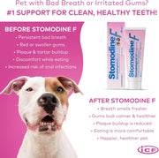 Nextmune Stomodine F Dental Gel for Dogs and Cats