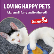Rosewood Daily Eats Cat Cushions Treats Variety Box - 12 x 60g