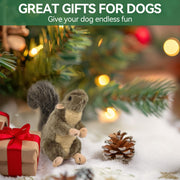 All For Paws Classic Squirrel