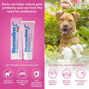Nextmune Stomodine F Dental Gel for Dogs and Cats
