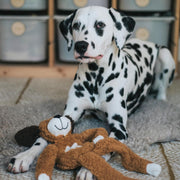Rosewood Aromadog Rescue Flattie
