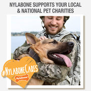 Nylabone Extreme Chew Femur Beef XL
