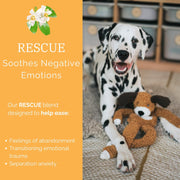Rosewood Aromadog Rescue Flattie