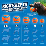 Chuckit! Sport Ball Launcher