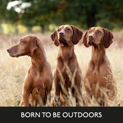 Skinner's Field & Trial Adult Duck & Rice Dry Dog Food