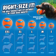 Chuckit! Max Glow Launcher with Ball
