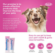 Nextmune Stomodine F Dental Gel for Dogs and Cats