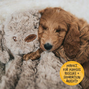 Rosewood My Dog Dog Plush Dog Toy