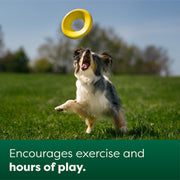 Earth Rated Flyer Dog Toy