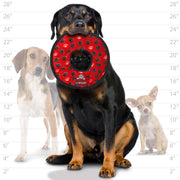 Tuffy No Stuff Ultimate Ring Dog Toy