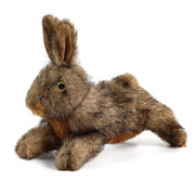 All For Paws Classic Brown Rabbit