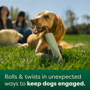 Earth Rated Rubber Chew Dog Toy