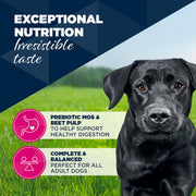 Eukanuba Adult Turkey & Carrots Wet Dog Food