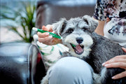 Vet's Best Triple Headed Toothbrush | 360° All-Angle Dental Cleaner for Dogs