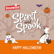 Rosewood Chicken & Pumpkin Sticks Dog Treats