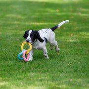 Petface Rope Hearts Dog Toy