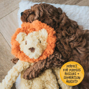 Rosewood My Dog Lion Plush Dog Toy