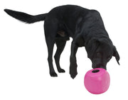 Kruuse BUSTER Cube Mini Food Cube Dog Toy