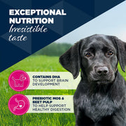 Eukanuba Puppy Turkey & Carrots Wet Dog Food