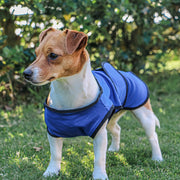 Ancol Cooling Coat