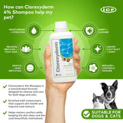 Nextmune Clorexyderm 4% Shampoo