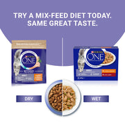 PURINA® ONE Chicken Dry Cat Food