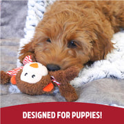 Rosewood Little Nippers Cheeky Chimp Puppy Toy