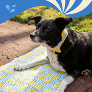 Rosewood Lemon Cool Mat