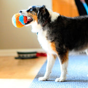 Chuckit! Indoor Play Ball