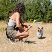 Chuckit! Breath Right Air Fetch Ball