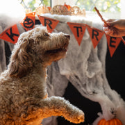 Rosewood Chicken & Pumpkin Sticks Dog Treats