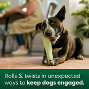 Earth Rated Rubber Chew Dog Toy