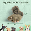 All For Paws Classic Squirrel