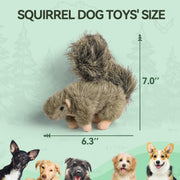 All For Paws Classic Squirrel