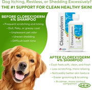 Nextmune Clorexyderm 4% Shampoo