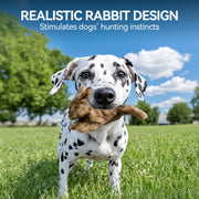 All For Paws Classic Brown Rabbit