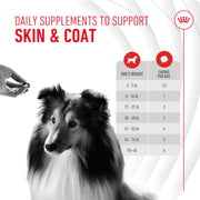 ROYAL CANIN® Skin and Coat Soft Chews Supplements for Dogs