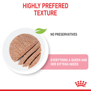 ROYAL CANIN® Feline Health Nutrition Mother and Babycat Cat Mousse