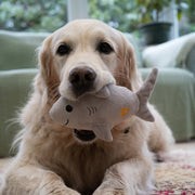 Petface Seriously Strong Rubberoid Shark Plush Dog Toy
