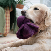 Petface Foodie Faces Ruby Red Cabbage Plush Dog Toy