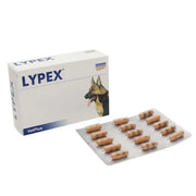 LYPEX® Pancreatic Enzyme Capsules for Dogs and Cats - 60 Capsules