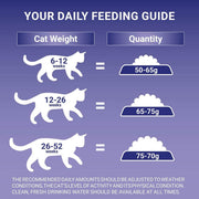 PURINA® ONE Kitten Chicken Dry Cat Food