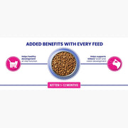 PURINA® ONE Kitten Chicken Dry Cat Food