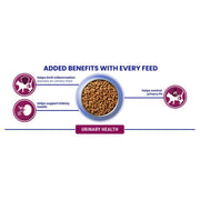 PURINA® ONE Urinary Health Chicken Dry Cat Food