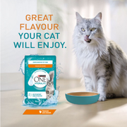 PURINA® ONE Hydralife Chicken Cat Supplements