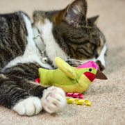 Petface Planet Harper Hummingbird Cat Toy