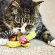 Petface Planet Harper Hummingbird Cat Toy