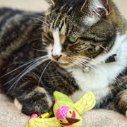 Petface Planet Harper Hummingbird Cat Toy