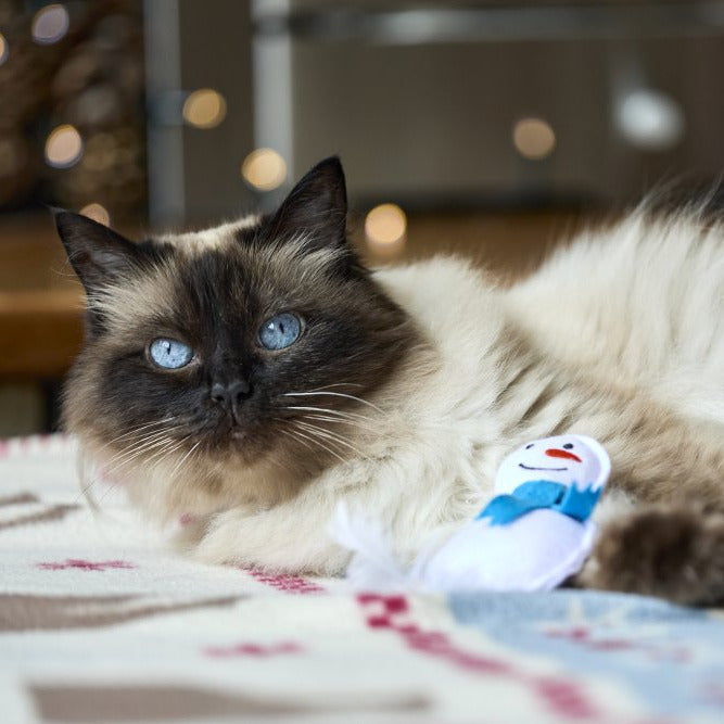 Petface Felt Snowman & Tree Assorted Cat Toy