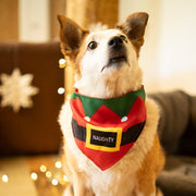 Petface Gifting Naughty or Nice Pet Bandana